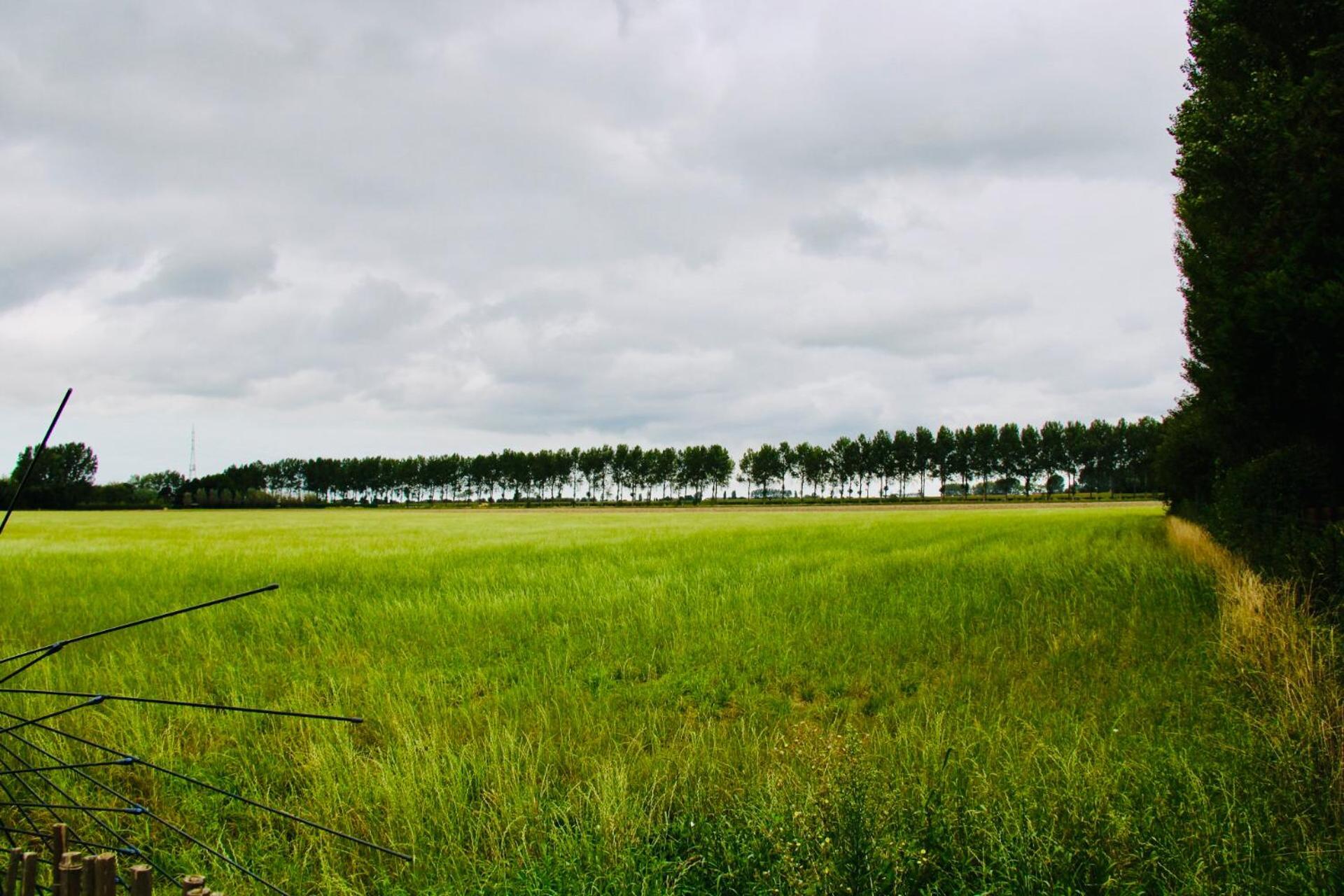 Art-Hill Bed and Breakfast Jabbeke  Buitenkant foto