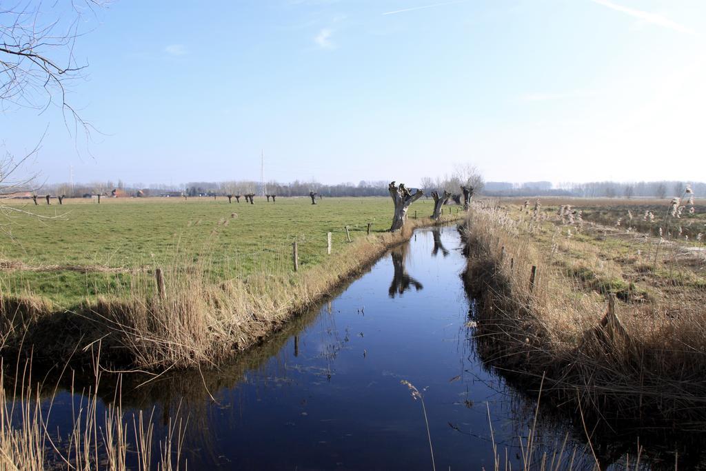 Art-Hill Bed and Breakfast Jabbeke  Buitenkant foto